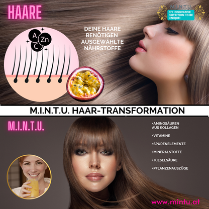 Grafik zur Haar-Transformation mit MINTU Kollagen Komplex, Aminosäuren, Zink und Vitamin C