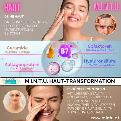 Grafik zur Haut-Transformation mit MINTU Kollagen Komplex, Ceramiden, Hyaluronsäure und Biotin