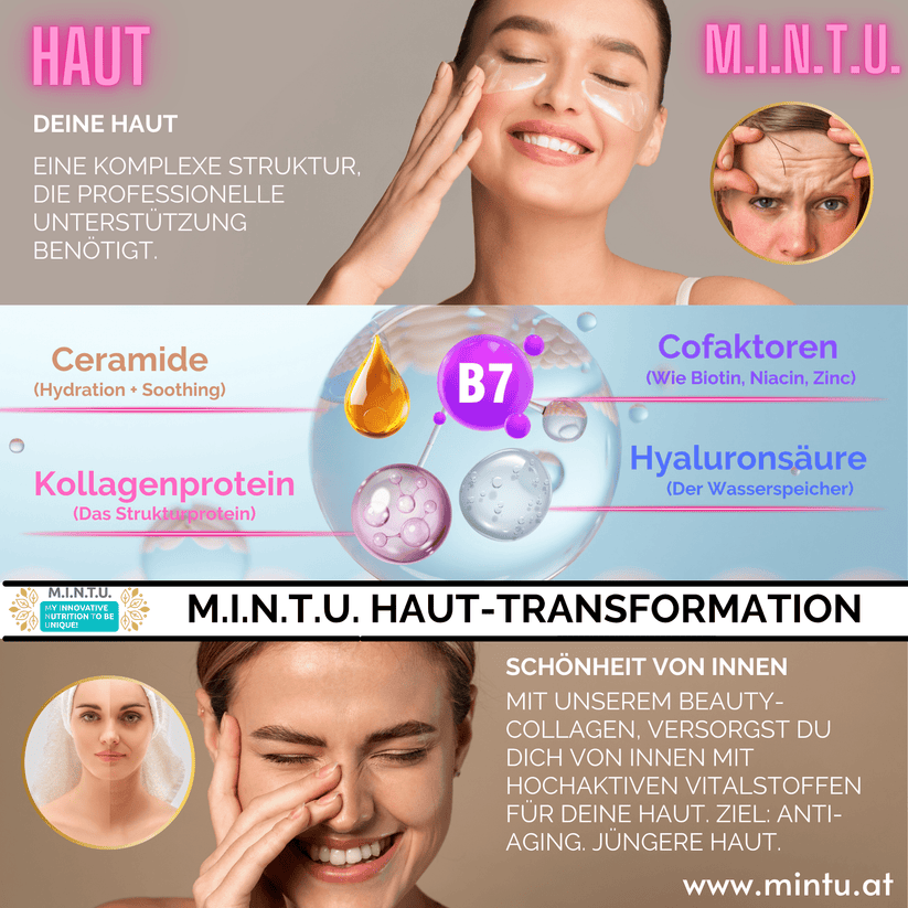 MINTU Beauty-Kollagen-Komplex zuckerfrei, 3-er Pack (144 Tage) - MINTU Shop